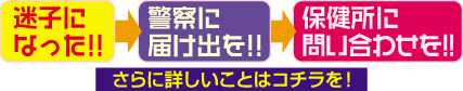 迷子になった！⇒警察に届け出を！⇒保健所に問い合わせを！